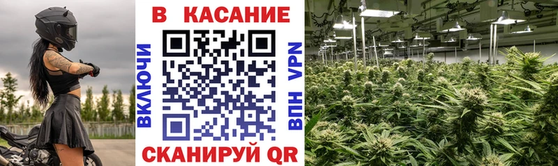 Где найти наркотики Стрежевой А ПВП АМФЕТАМИН Cocaine Меф Гашиш Конопля