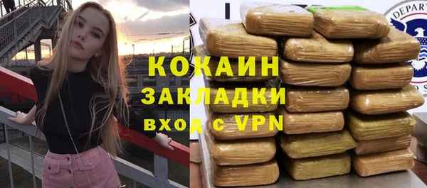 индика Абинск