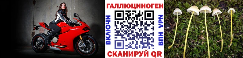 Галлюциногенные грибы Magic Shrooms Стрежевой